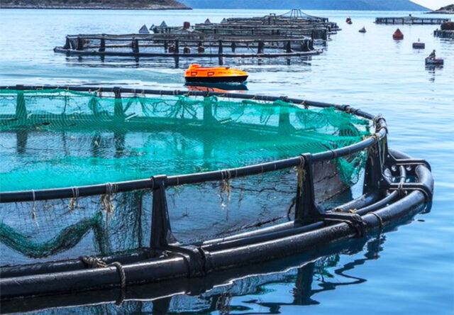 https://aegeanusv.com/wp-content/uploads/2025/02/Fishfarming-applications-f-s-640x444.jpg