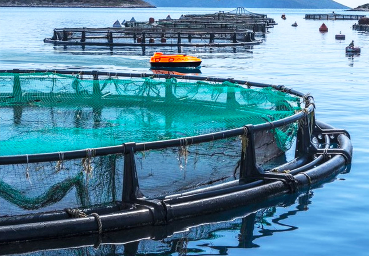 https://aegeanusv.com/wp-content/uploads/2025/02/Fishfarming-applications-f-s.jpg