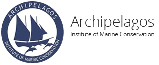 website-logo